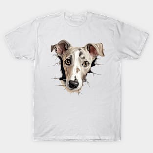 Baby Greyhound Dog Peeking T-Shirt